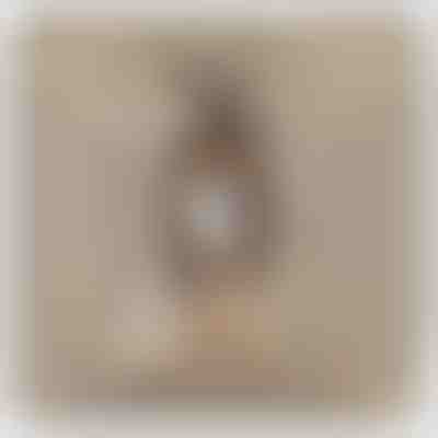 A mia figlia - Collana in oro bianco 14K con Cristalli Zirconia LEONA