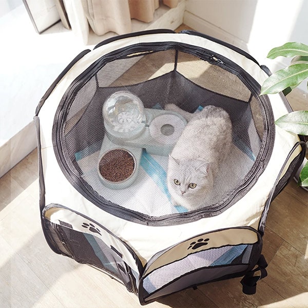 Teepee Per Animali In Tela Bianca – Tenda Portatile Per Gatti E Cani Piccoli (50x50x60 Cm) Con Cuscino E Pali In Legno