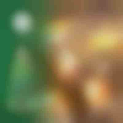 Luce di Natale da appendere alla finestra (4 pezzi) | MERRYLIGHTS