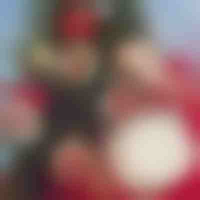 Decorazioni natalizie fai da te (30 pezzi) | ORNAMENTIFY