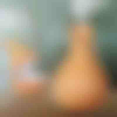 Umidificatore in legno | HUMISTER