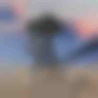 Telescopio monoculare con zoom 100x | VISIONIC