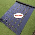 VEGUARD13200__de112c16