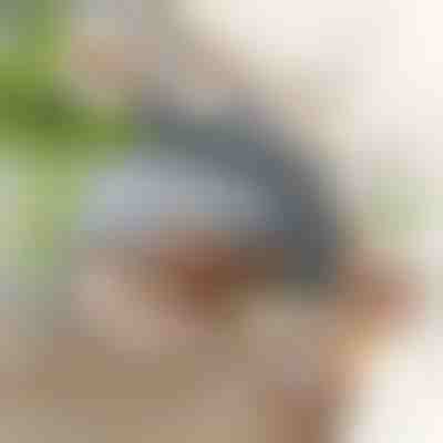 Giocattolo interattivo uccellino svolazzante | CHIRRCAT