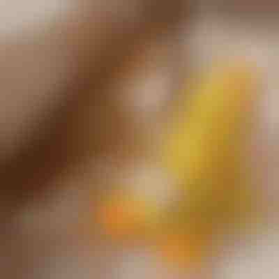 Giocattolo di peluche con suono di anatra morbido | CALMQUA